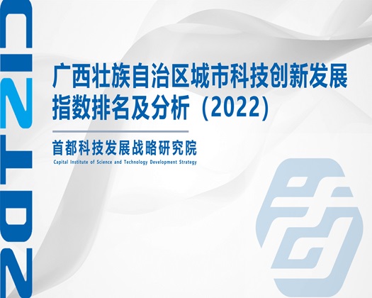 狠狠操她的逼【成果发布】广西壮族自治区城市科技创新发展指数排名及分析（2022）